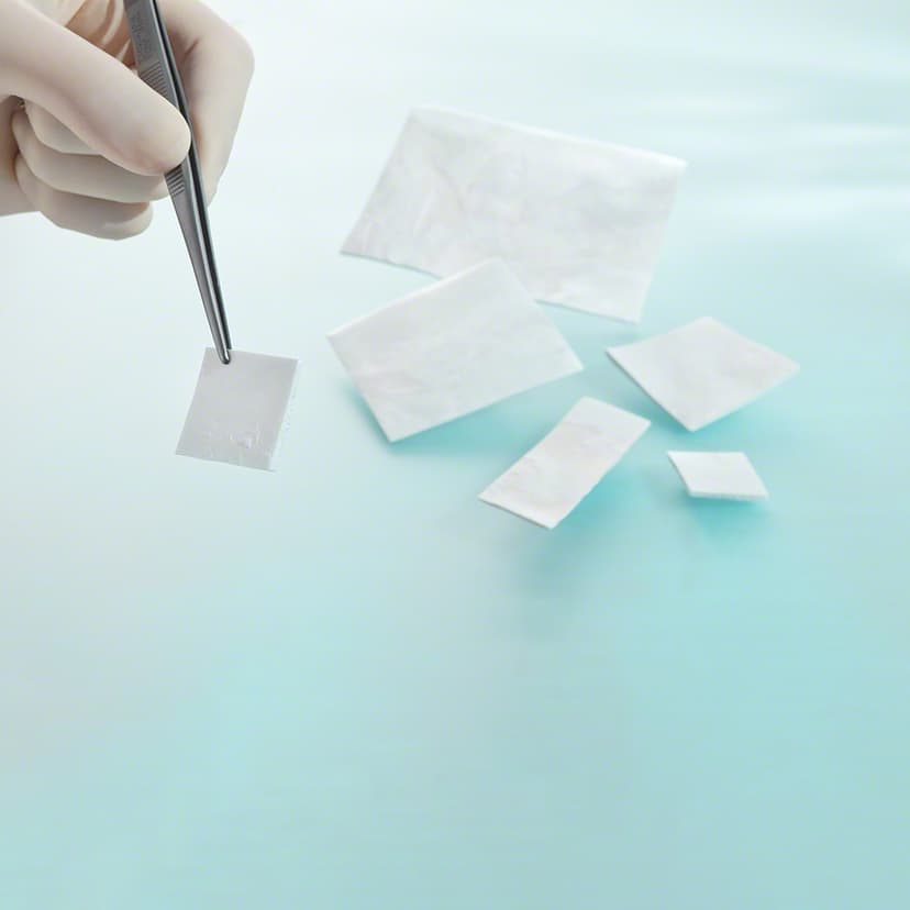 Lyoplant® Onlay-Produktbild CW Vergrößerung