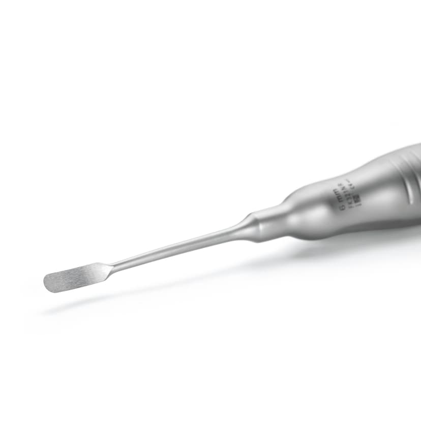 Raspatorien, Elevatorien, Dissektoren-Produktbild CW Vergrößerung