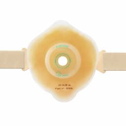 Ally Belt-Avitum Product Image