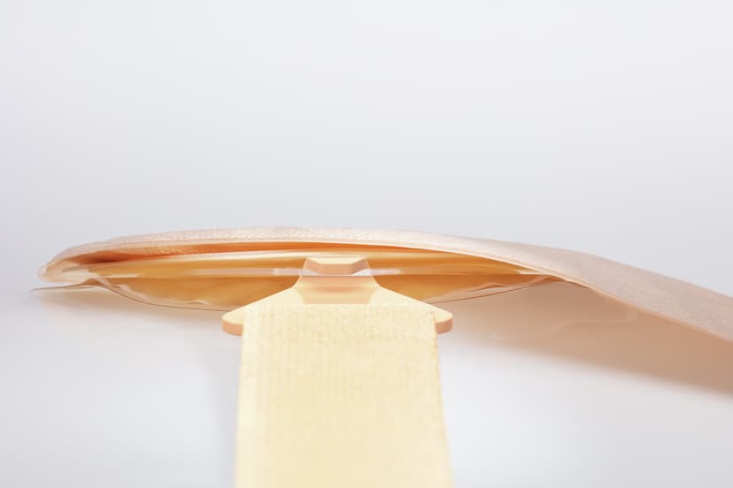 Ally Belt-Avitum Product Image